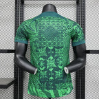 Maillot Nigéria saison 2023-2024 domicile version player