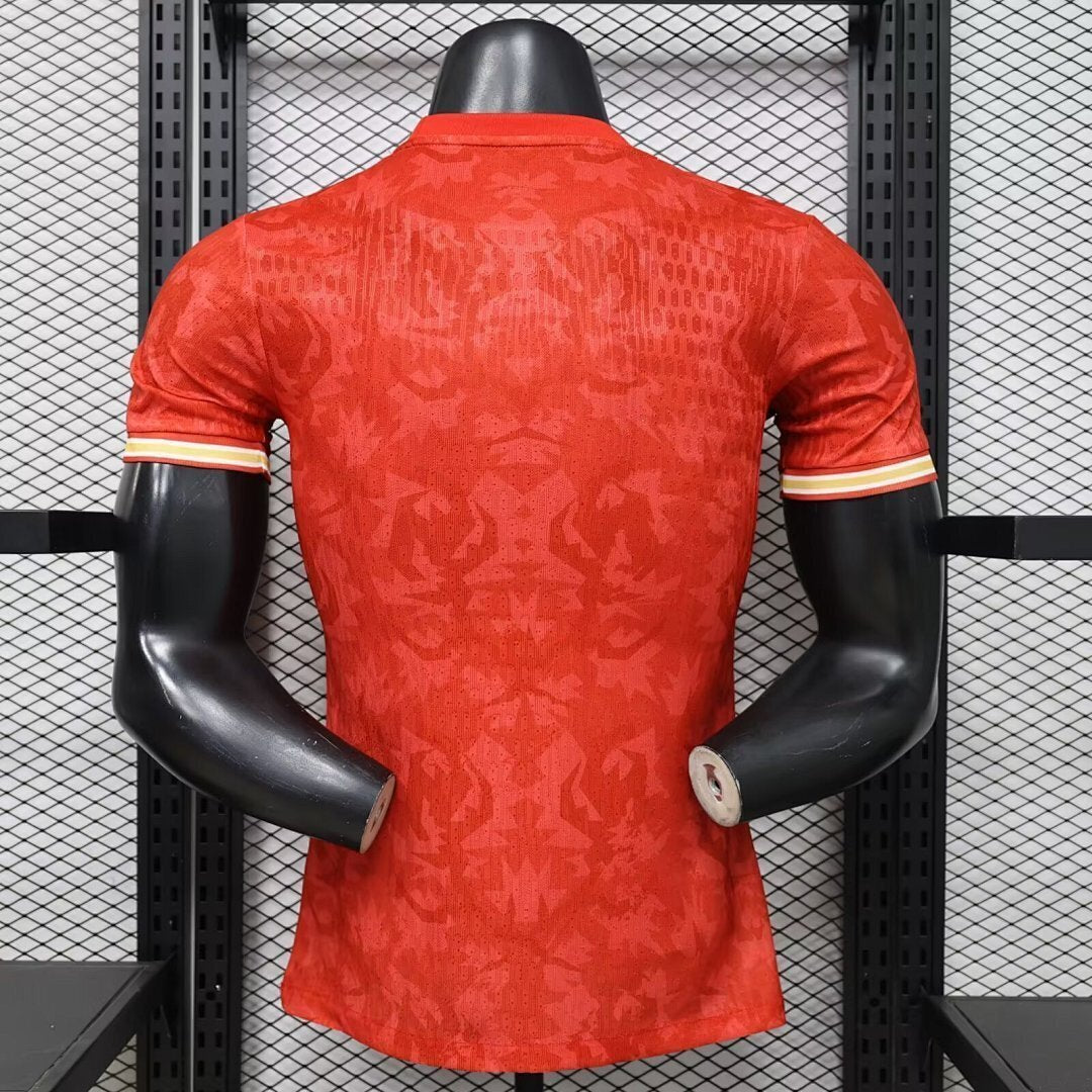 Maillot Angleterre Concept 2026